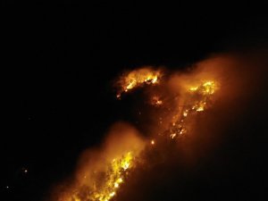 Muş’ta örtü yangını