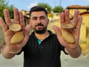 Onlar gitmeden düğün başlamıyor