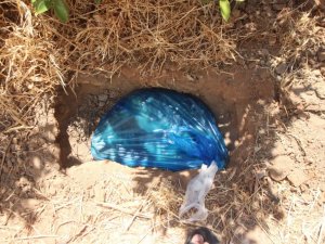 Mahalleli zehirlenen canlar için ayağa kalktı