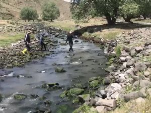 Kars’ta balık tutmak için dereye koştular