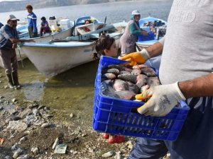 Çayırhan Gölü’nde balıkçılar "Vira Bismillah" dedi