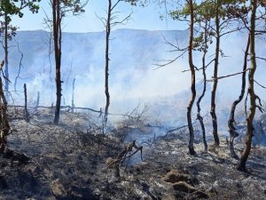 Dünyanın ikinci büyük kraterindeki yangın kontrol altına alındı