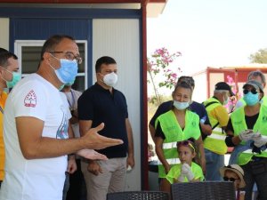 Yanan ormanlar temizleniyor