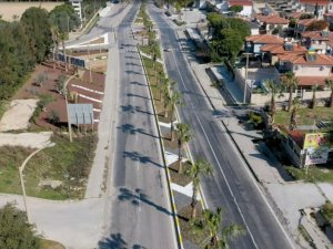 Kuşadası Belediyesi’nden ağaç dikim seferberliği