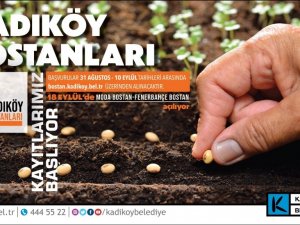 İstanbul’un göbeğinde ekolojik tarım