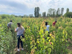 Fidan üretimi gerçekleştirilen araziler denetlendi