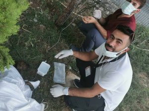 Şanlıurfa’da yaralı yavruya ilk müdahaleyi sağlık çalışanları yaptı