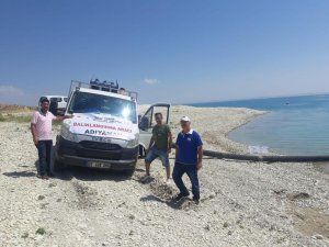 Atatürk Barajına 1,5 milyon yavru balık bırakıldı