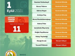 Orman Genel Müdürlüğü: “Bugün çıkan 11 yangının 9’unu kontrol altına aldık”