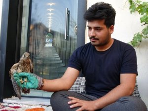 Yaralı bulunan kerkeneze şefkat eli