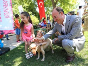 Pamukkale’de hayvan dostları festivalde buluşuyor