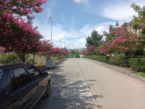 Bahçeşehir renklendi