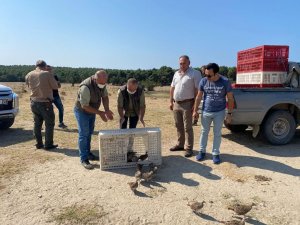 Enez’de 200 keklik doğaya bırakıldı