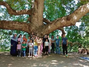 Asırlık çınar ağacı altında piknik etkinliği