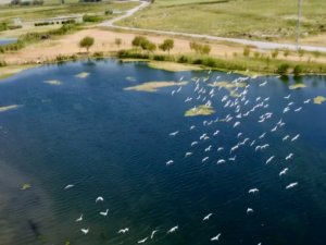 Ağrı Dağı Milli Parkı, güzelliğiyle dikkat çekiyor