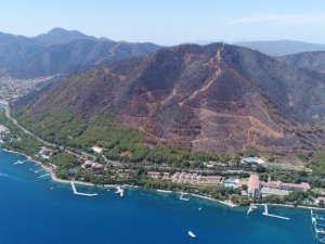 Yanan alanlarda kesim çalışmaları başladı