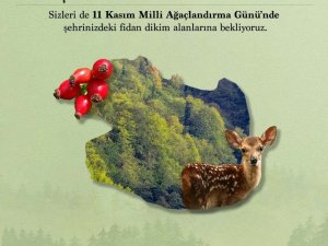 Bakan Pakdemirli’den fidan dikme çağrısı