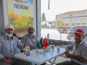 Türkşeker çiftçi lokalleri, yeni üretim sezonuna hazır