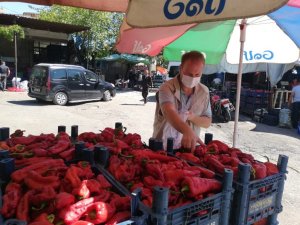 Taze Kırmızı Bibere Hasat sonrası denetim
