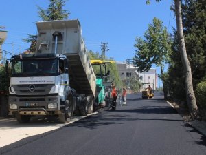 Ayvagediği yaylasının yollarına düzenleme