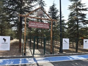 Gazi Park, yemyeşil doğası ve etkinlik alanlarıyla başkentlileri bekliyor