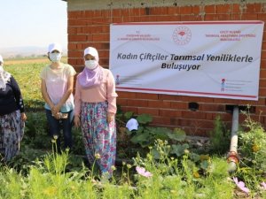 Yeni geliştirilen fasulye çeşitleri kadın çiftçilere tanıtıldı