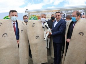 Erzincan’da “2. Geleneksel Koç Katım Şenliği” düzenlendi