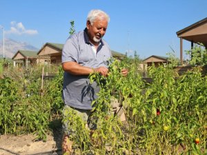 Hobi Bahçeleri için başvurular başladı