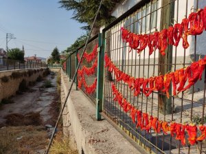 Kış için kurutulan biberler kanal çitlerine asıldı