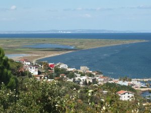 Çevrecilerin karides isyanı