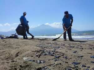 Samandağ sahilinde petrol atıkları temizleniyor