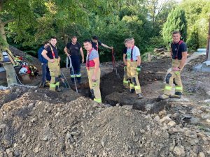 Çukura düşen geyiği itfaiye kurtardı