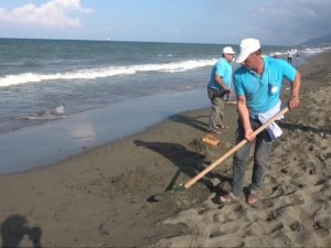 Samandağ Sahilinde petrol temizliği