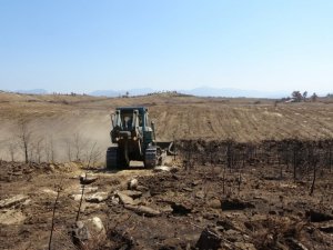 Manavgat’ta yanan ormanlık alanlar iş makineleri tarafından dikime hazırlanıyor