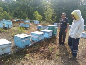 Kırklareli’nde meşe balı üreticileri bilgilendirildi