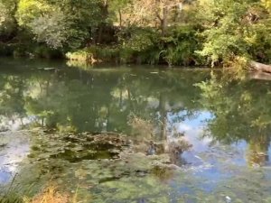 Soğanlı Çayı’nda kirlilik alarmı: Vatandaşlar kokudan yanına yaklaşamıyor