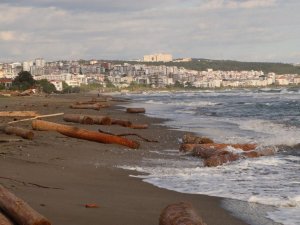 Ayancık’ta sel sularının denize sürüklediği tomruklar Samsun sahillerinde