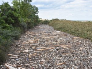 Sinop’ta korkutan görüntü: Sarıkum’da doğal hayat risk altında
