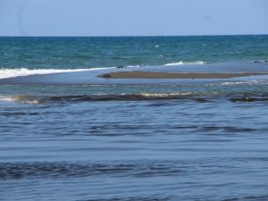 Petrol sızıntısı balıkçıları endişelendiriyor