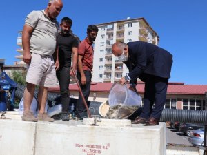 Sivas’ta göller balıkla dolup taşacak