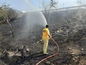 Otoyol kenarında çıkan örtü yangını büyümeden söndürüldü
