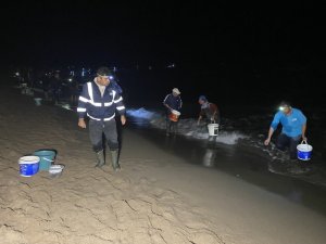 Bartın’da balıklar sahile vurdu