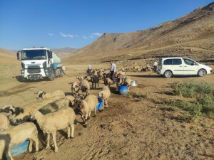 Gürpınar Belediyesi yaylaya tanker su getirdi