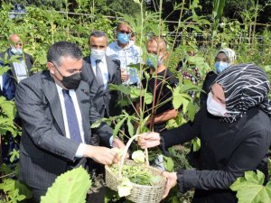 Tarla günü etkinliği Düzce’de yapıldı