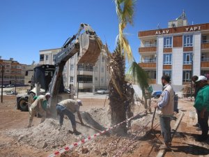 Haliliye’de parklarda sonbahar hazırlığı
