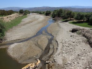 Büyük Menderes Nehri kurudu, çiftçiler tedirgin