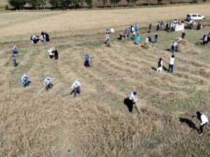 Avrupa’da yılın müzesinden harman festivali
