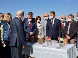 Müsilaj araştırma komisyonu İzmit Körfezi’nde incelemelerde bulundu