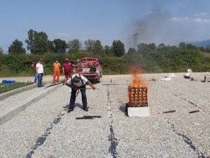 Orman yangınları için farklı kimyasalların kullanılması denendi