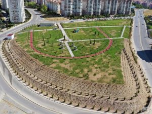 Ankara Büyükşehir Belediyesi Başkente yeni bir yeşil alan daha kazandırdı